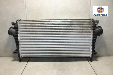 Article YDQM