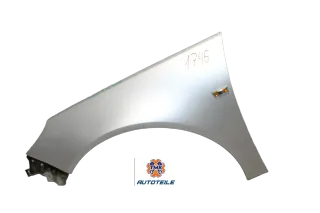 Opel Insignia A Kotflügel vorne links Z176 Argonsilber - Bild 1